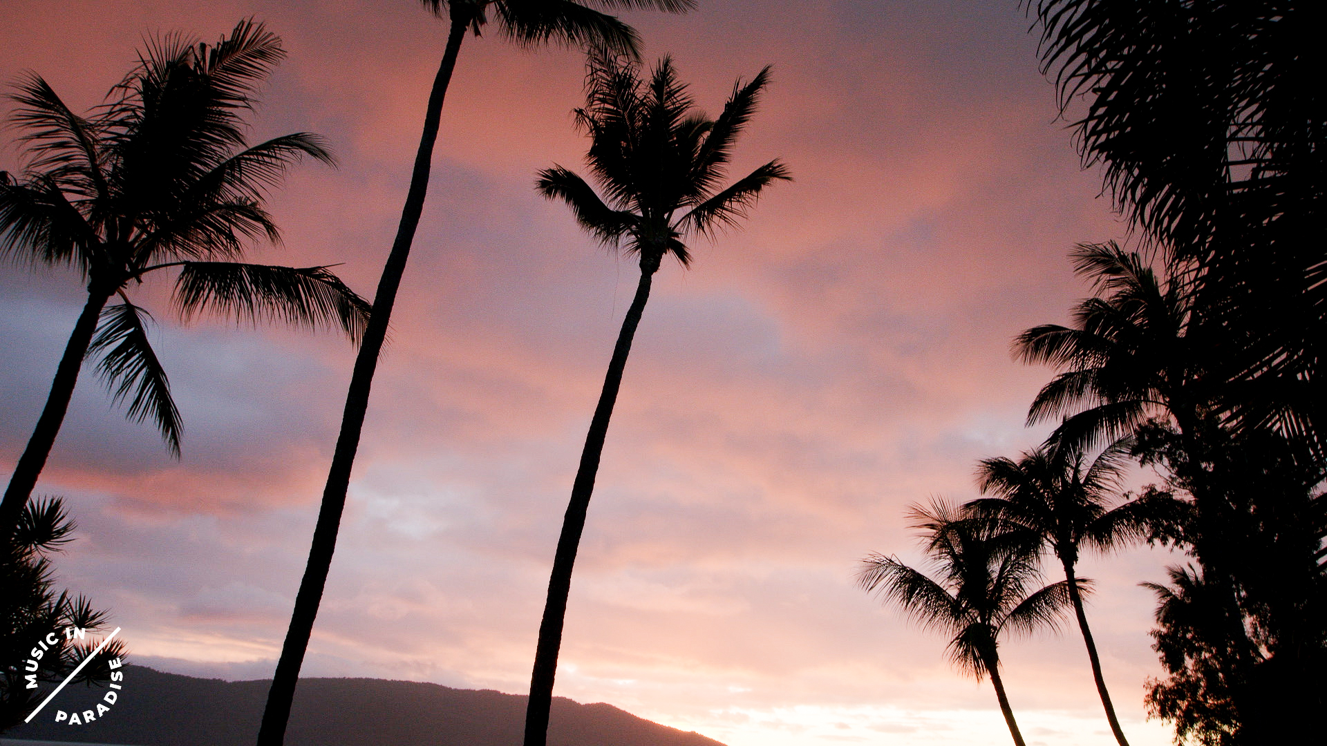 Palm Trees Pink Sky Living End